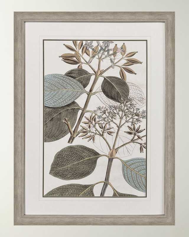 "Flowering Botanical I" Framed Giclee on Paper